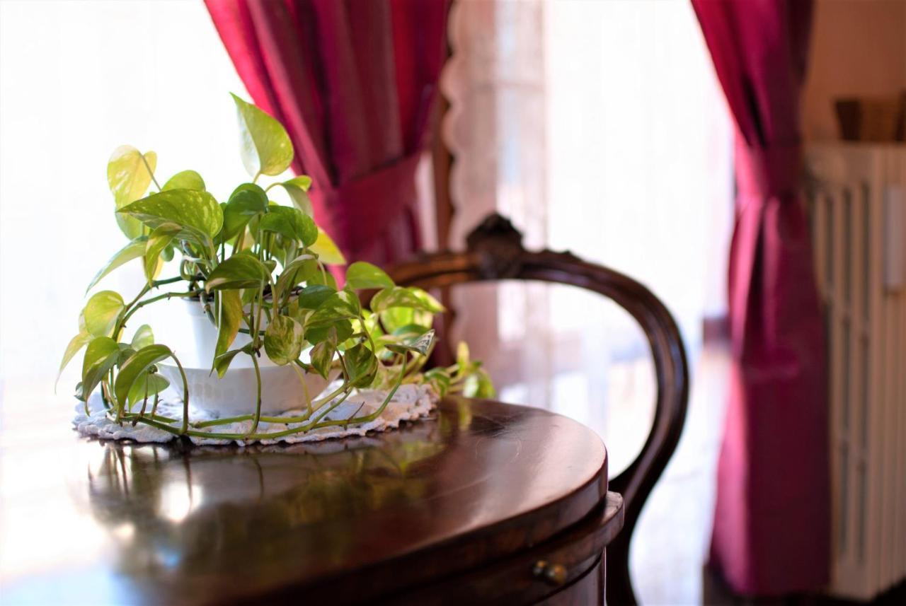 ホテル Casa Torresino パドヴァ エクステリア 写真